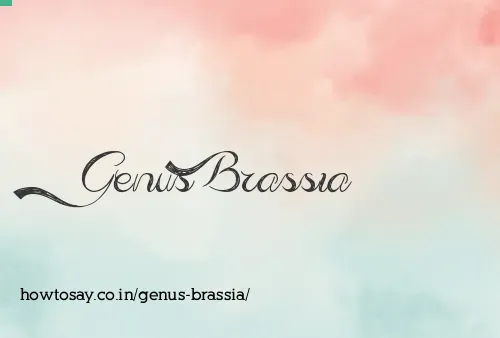 Genus Brassia