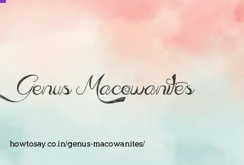 Genus Macowanites