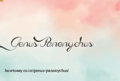 Genus Panonychus