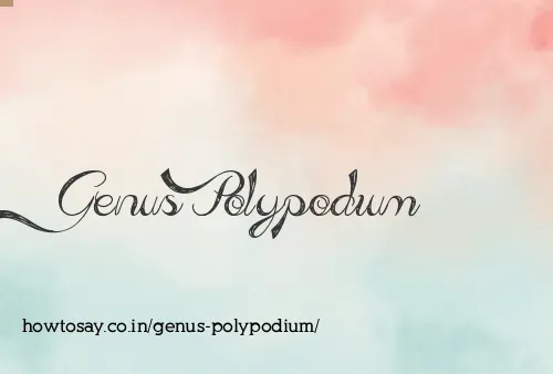 Genus Polypodium