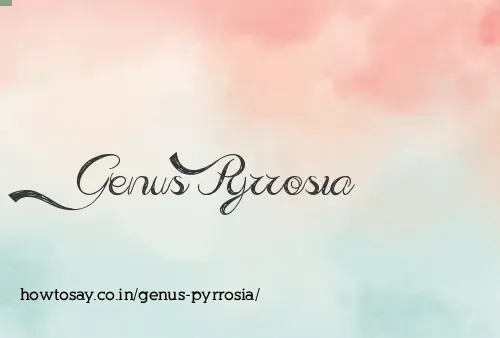 Genus Pyrrosia