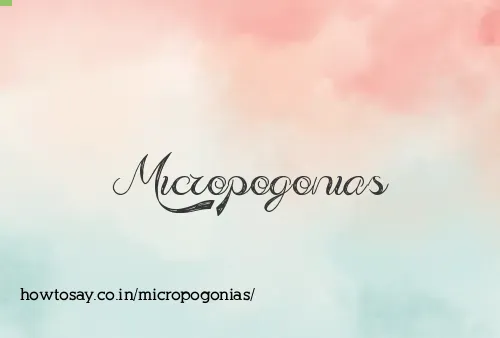 Micropogonias