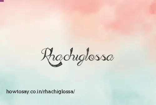 Rhachiglossa