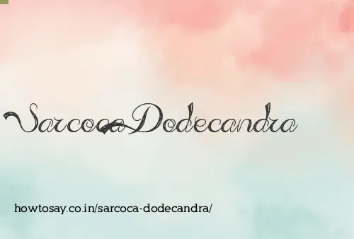Sarcoca Dodecandra