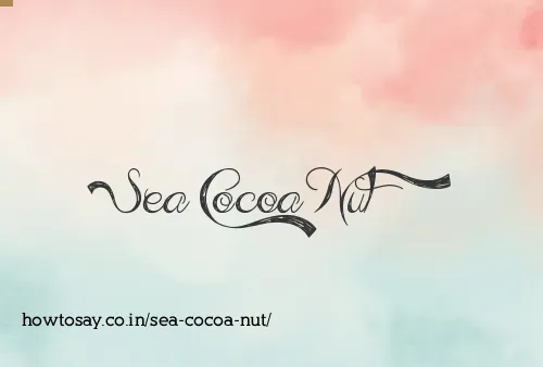Sea Cocoa Nut