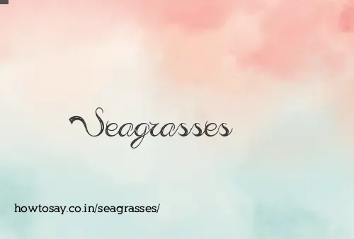 Seagrasses